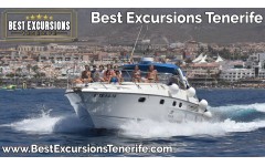 Skyline Cruiser Private Charter